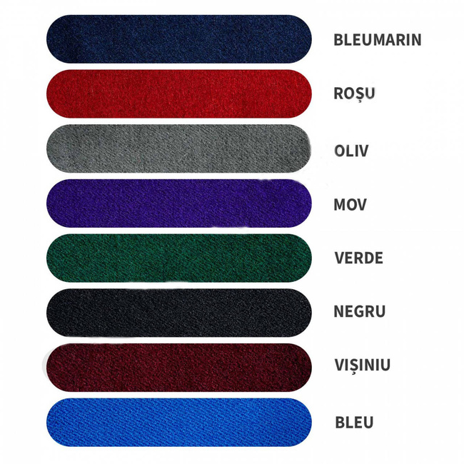 PETLITE MAPN - OFITERI - BRODATE PE SUPORT BLEU (PASPOAL ORAS)