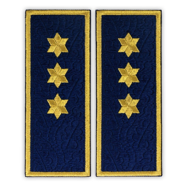 Embroidered penitentiary inspector badge ANP