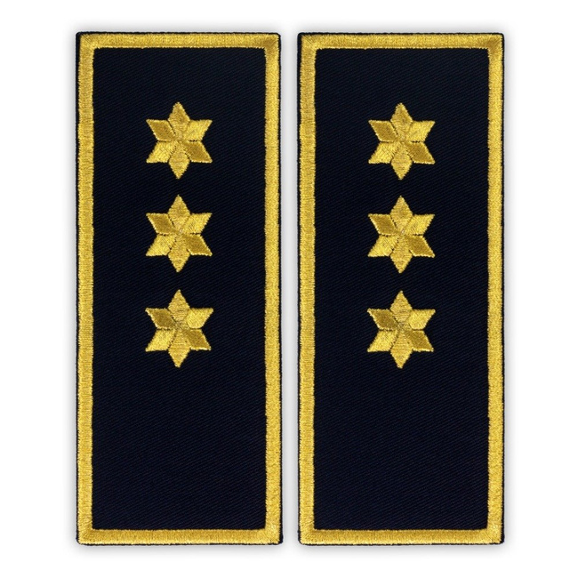 Embroidered penitentiary inspector badge ANP