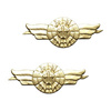 Auriu