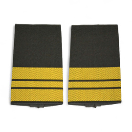PAIR OF ORIGINAL RANKS - LIEUTENANT CAPTAIN - GERMAN ARMY - OLIVE GREEN/GOLDEN