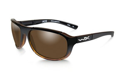 Glasses - Wileyx - ACE Polarized Bronze Gloss Tortoise Fade Frame