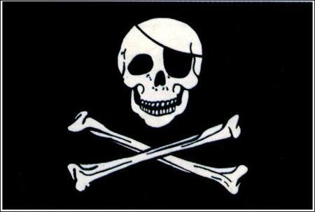 FLAG 30 x 46 cm with wooden stick PIRATE