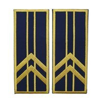 reprezentare/bleumarin