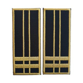 GRADE INSPECTOR VAMAL PRINCIPAL