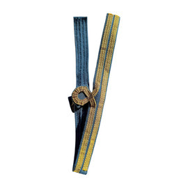 SLEEVE RANKS - LOCOTENENT PARATROOPER - AIR FORCE - ROMANIAN ARMY MILITARY SURPLUS - IN GOOD CONDITION