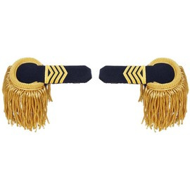 EPAULETTES WITH FRINGES, RANK IV WITH CASE - MILITARY SURPLUS FROM PORTUGUESE ARMY - LIKE NEW