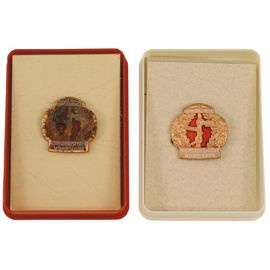 NVA metal badge, Wehrerziehung Bronze, like new