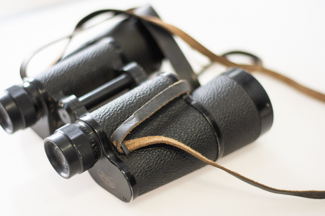 Carl Zeiss 15x50 Binocular - Carl Zeiss lenses with leather case included