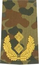 GERMAN ARMY FLECKTARN CAMO/GOLD SHOULDER LOOPS GENERAL-MAJOR