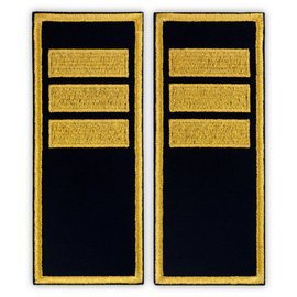 Grade Agent Șef Adjunct penitenciar ANP - Fundal simplu - 12x5 cm (model nou)