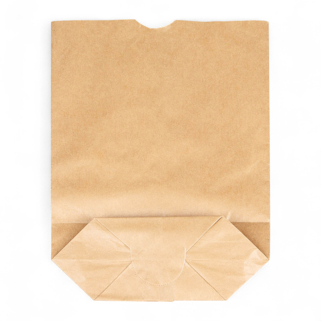 Set of 50 Kraft Paper Bags - 29 x 35 cm - Like New
