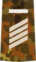 GERMAN ARMY FLECKTARN CAMO/SILVER SHOULDER LOOPS ´STABSGEFREITER UA´