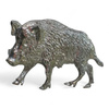 Wild Boar