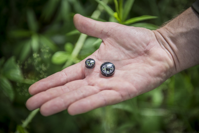 BUTTON COMPASS - SMALL - BLACK - HELIKON