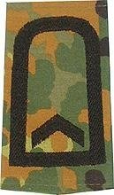 GERMAN ARMY FLECKTARN CAMO/BLACK SHOULDER LOOPS ´FELDWEBEL´