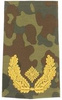 GERMAN ARMY FLECKTARN CAMO/GOLD SHOULDER LOOPS ´BRIGADE-GENERAL´