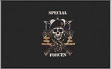 FLAG (91 x 152) cm U.S. SPECIAL FORCES