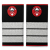 Grade Plutonier Adjutant Pompieri ISU, IGSU țesute pe suport textil din paspoal cusut, cu semn de armă metalic