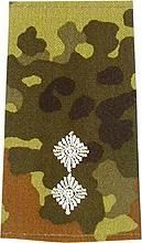 GERMAN ARMY FLECKTARN CAMO/SILVER SHOULDER LOOPS ´OBERLEUTNANT´