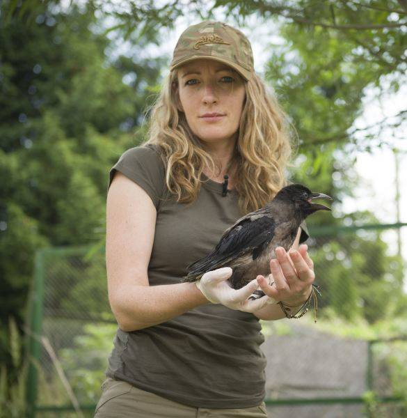 WOMEN'S COTTON T-SHIRT - Helikon-Tex® - PL WOODLAND