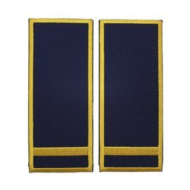 GRADE INSPECTOR VAMAL DEBUTANT - REPREZENTARE/ BLEUMARIN