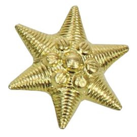 Hungarian metal badge, star, gold, like new