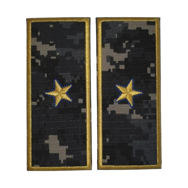 GRADE DIRECTOR EXECUTIV ADJUNCT VAMA - CONTROL/ CAMUFLAJ URBAN