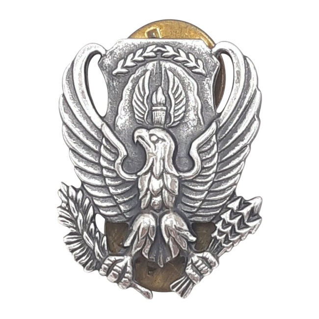 VINTAGE PAIR OF METAL COLLAR BADGES - EAGLE - US AIR FORCE ROTC B.O.S. - US AIR FORCE - AMERICAN ARMY MILITARY SURPLUS - LIKE NEW