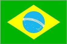 FLAG (91 x 152) cm BRAZIL