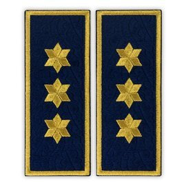 Grade Commissioner Penitentiary Chief, ANP