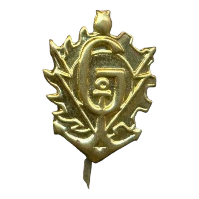 PAIR OF RANK INSIGNIA - GENIUS - ROMANIAN ARMY MILITARY SURPLUS  - GOLDEN - IN GOOD CONDITION