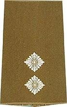 GERMAN ARMY O.D./SILVER SHOULDER LOOPS OBERLEUTNANT