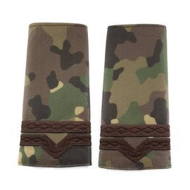 GRADE MAISTRU MILITAR CLASA 4-A COMBAT FORTE TERESTRE