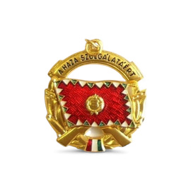 Badge 89 - Medal for Service to the Homeland, 1nd Class - Hungary Army Military Surplus - Like New