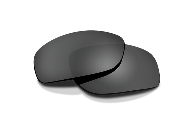 GLASSES WITH INTERCHANGEABLE LENSES GREY/CLEAR - XL-1 ADVANCED COMM 2.5 - WILEYX®