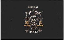 FLAG (91 x 152) cm U.S. SPECIAL FORCES