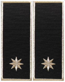 Embroidered local police badge