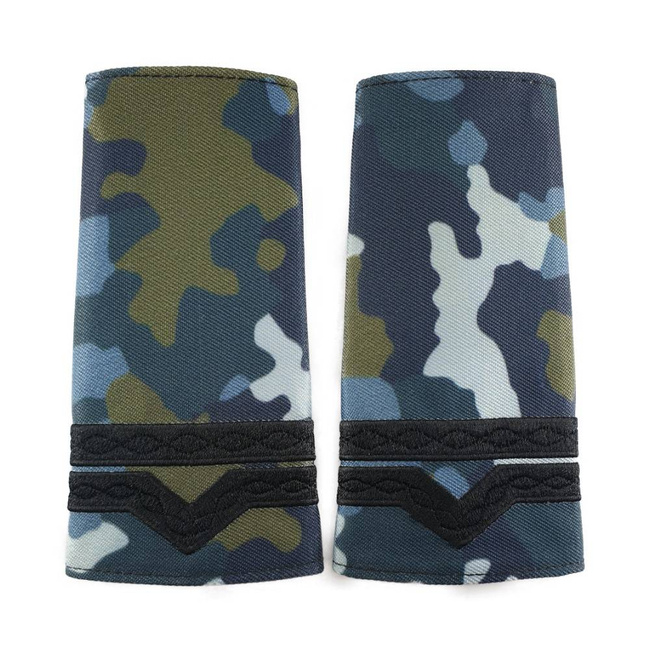 GRADE MILITARE AVIATIE COMBAT, GRADE MAISTRU MILITAR CL 3 AVIATIE