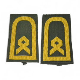 PAIR OF ORIGINAL RANKS - CAPTAIN BOATSWAIN - GERMAN ARMY - NAVY - OLIVE GREEN/GOLDEN
