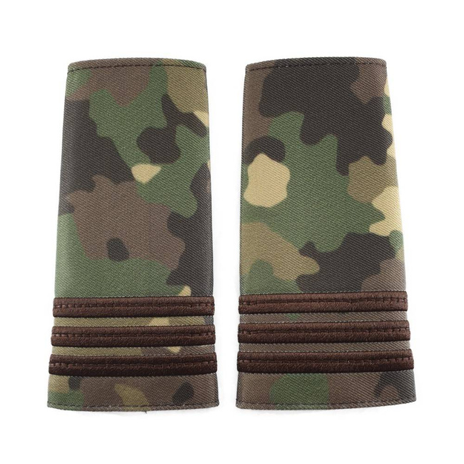 Captain Rank Combat Terrestrial Forces