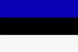 FLAG (91 x 152) cm ESTONIA