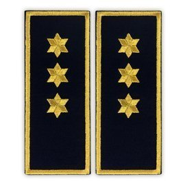 Embroidered penitentiary inspector badge ANP