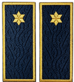 Penitentiary sub-inspector grades ANP