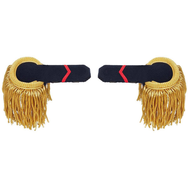 EPAULETTES WITH FRINGES, RANK NAVY OFFICER WITH CASE - MILITARY SURPLUS FROM PORTUGUESE ARMY - LIKE NEW