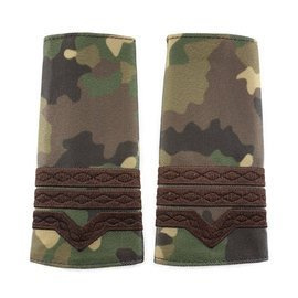 GRADE MAISTRU MILITAR CLASA 3-A COMBAT FORTE TERESTRE