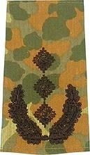 GERMAN ARMY FLECKTARN CAMO/BLACK SHOULDER LOOPS ´OBERST´