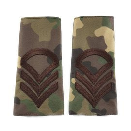 Grade Caporal clasa I - Camuflaj Combat Forte Terestre - Cu Semn de Arma CBRN