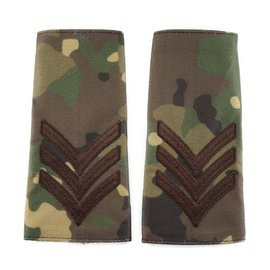 Grade Caporal clasa 2-a combat forte terestre