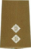 GERMAN ARMY O.D./SILVER SHOULDER LOOPS OBERLEUTNANT